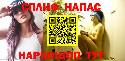 гашик Бийск