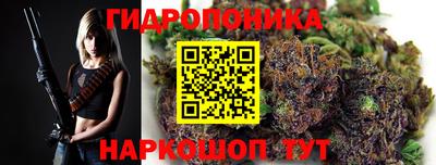 кокс Берёзовский