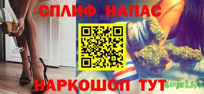 гашик Бийск