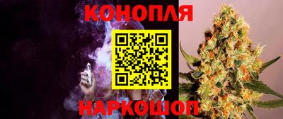 гашик Бийск