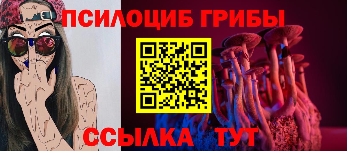 где купить наркотик  Вход с VPN  Большой Камень  Галлюциногенные грибы мухоморы 
